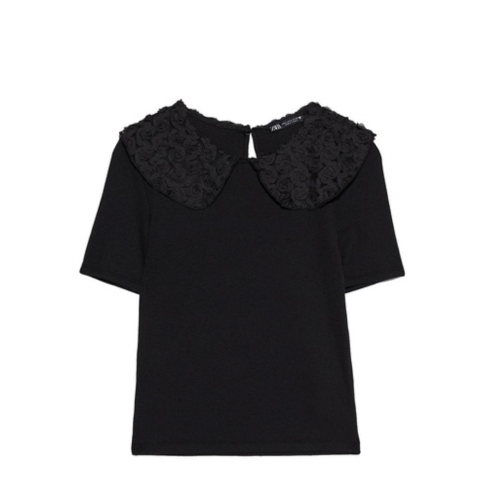 Zara Collared Tee